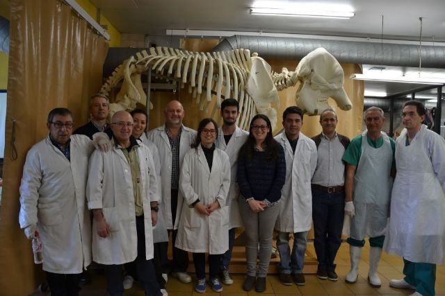 La técnica de plastinación de la UMU llega a Cambridge - 1, Foto 1