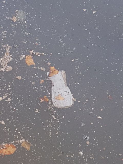 Cs Cartagena denuncia nuevos vertidos en la desembocadura de la Rambla de Benipila y exige soluciones urgentes - 1, Foto 1