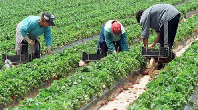 IU muestra moderado optimismo tras la celebración de la Mesa Local de Empleo en Lorca - 1, Foto 1