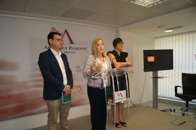 El PSOE pregunta al consejero de Salud por los criterios para la selección de enfermeros y enfermeras eventuales del Servicio Murciano de Salud - 1, Foto 1