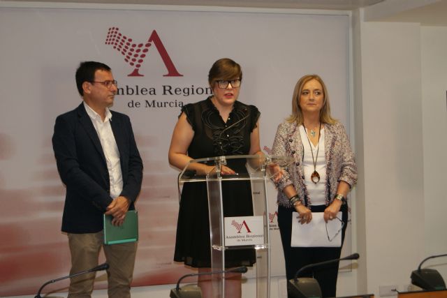 El PSOE pide explicaciones al consejero de Salud de por qué no se ha incrementado aún el número de facultativos en el servicio de Neonatología de La Arrixaca - 2, Foto 2