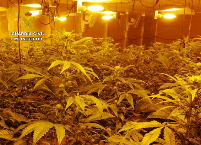 La Guardia Civil desmantela en Mula una organización criminal dedicada al tráfico de drogas - 1, Foto 1