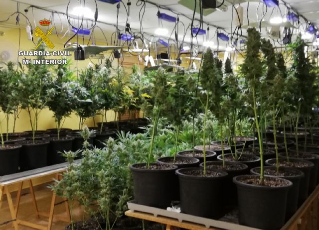 La Guardia Civil desmantela en Mula una organización criminal dedicada al tráfico de drogas - 3, Foto 3