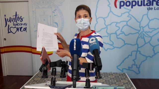 El PP exige a Mateos que aclare por qué bloqueó en enero el informe del impacto económico sobre los ciudadanos que conlleva perder el juicio con Iberdrola - 1, Foto 1