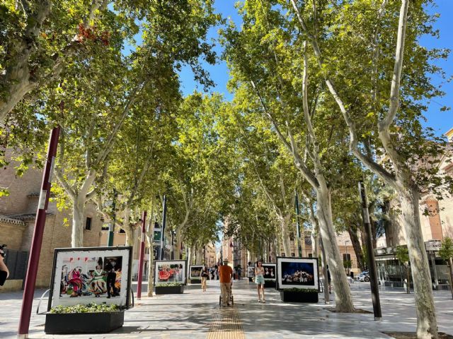 El Paseo de Alfonso X alberga la exposición fotográfica 'Del Blanco y Negro al Color' - 2, Foto 2
