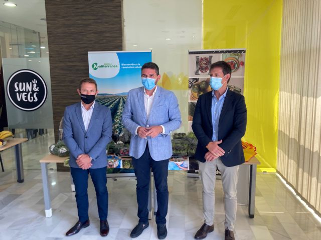 Agromediterránea instala sondas de humedad y ensaya con inhibidores de nitrificación en sus cultivos de brócoli de la Región de Murcia - 1, Foto 1