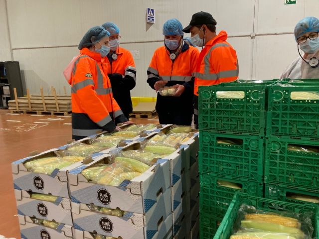 Agromediterránea instala sondas de humedad y ensaya con inhibidores de nitrificación en sus cultivos de brócoli de la Región de Murcia - 2, Foto 2