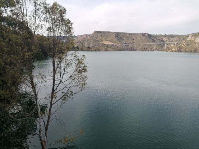 Los embalses de la Cuenca del Segura se encuentran al 43% de su capacidad - 2, Foto 2