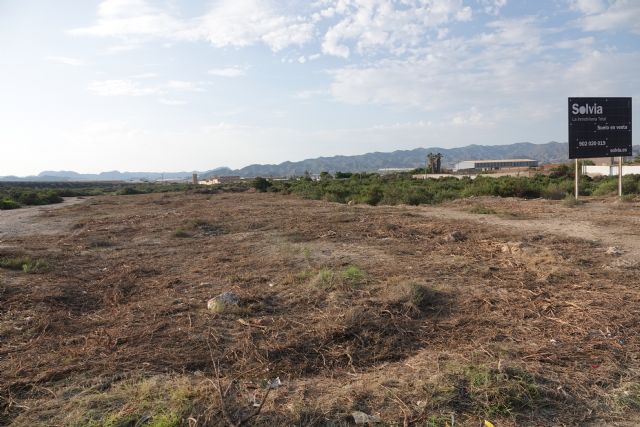 ANSE solicita medidas urgentes para evitar la extinción del alzacola, el pájaro más amenazado de la Región de Murcia - 2, Foto 2