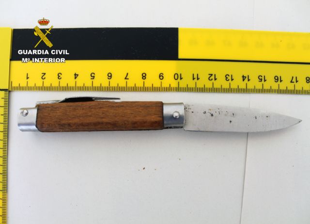 La Guardia Civil esclarece un homicidio en Torre Pacheco ocurrido el pasado fin de semana - 1, Foto 1