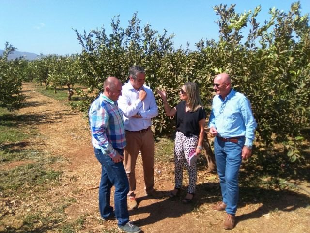 La producción ecológica en el Campo de Cartagena alcanza el siete por ciento - 1, Foto 1