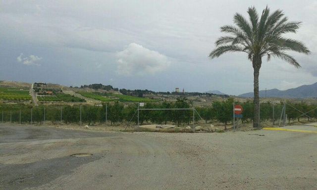 Denuncian la ocupación ilegal de una vía pecuaria en Fortuna - 1, Foto 1