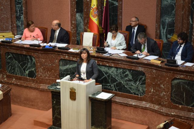 Isabel M.ª Soler: La ley del Tercer Sector es un invento del PSOE que no responde a una demanda de las organizaciones - 1, Foto 1