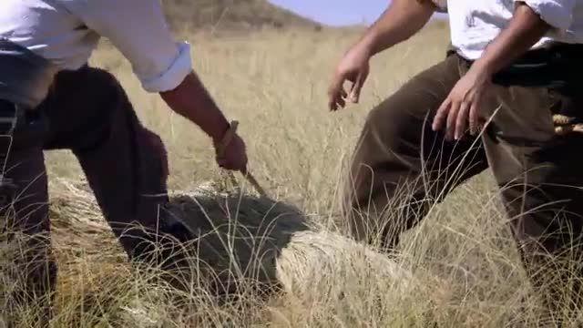 El documental ´Seda y esparto´ de la Fundación Integra se presenta en el ´II Encuentro sobre la cultura del esparto´ que se celebra en Águilas - 1, Foto 1