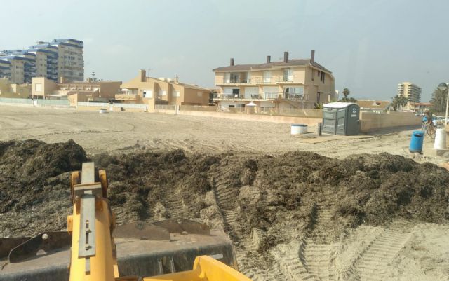 Las brigadas municipales retiran 120 toneladas de algas de las playas cartageneras durante el fin de semana - 1, Foto 1