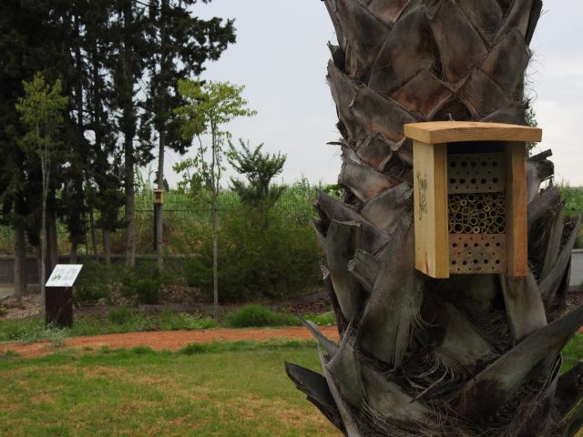 Aguas de Murcia y ANSE colaboran en la conservación de los insectos polinizadores - 2, Foto 2