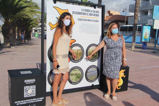 La exposición interactiva La pandilla salada, descubriendo el Mar Menor recorrerá los municipios ribereños - 2, Foto 2