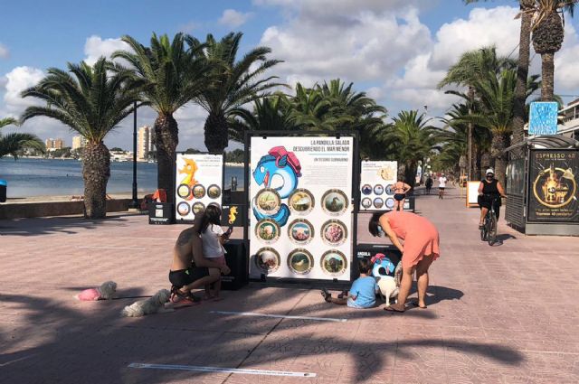 La exposición interactiva ´La pandilla salada, descubriendo el Mar Menor´ llegará a Cartagena el 26 de agosto - 1, Foto 1