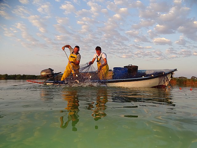 ANSE evalúa la extracción de especies exóticas invasoras a través de la pesca artesanal en El Hondo - 1, Foto 1
