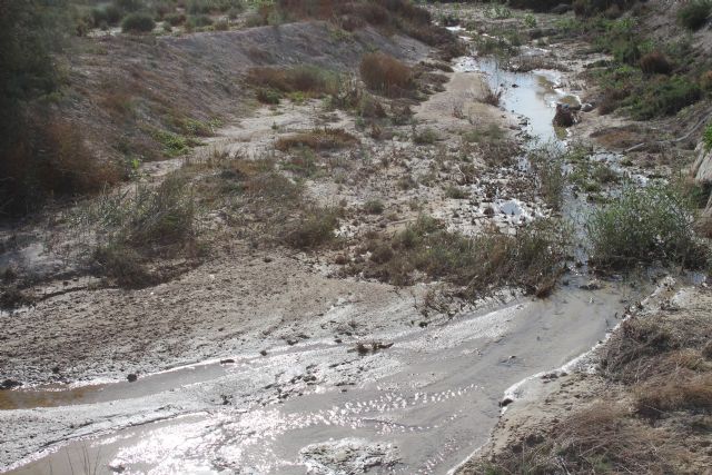 La CHS adjudica las obras de restauración y laminación de las cañadas de Mendoza y Morcillo en Molina de Segura - 2, Foto 2