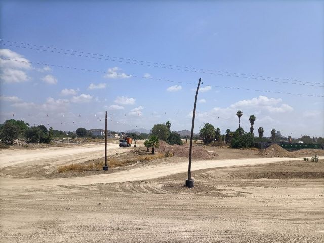 Huermur y Ecologistas en Acción denuncian la destrucción de la huerta en Churra para urbanizaciones y alerta del grave coste ambiental y climático - 3, Foto 3