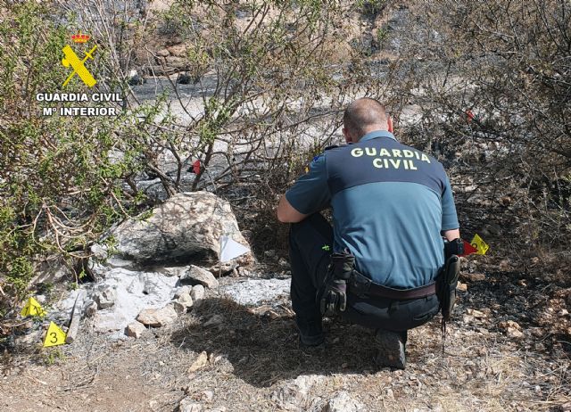La Guardia Civil investiga a una persona por el incendio de más de ocho hectáreas de masa forestal - 2, Foto 2