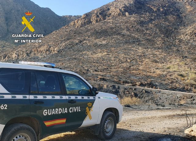 La Guardia Civil investiga a una persona por el incendio de más de ocho hectáreas de masa forestal - 3, Foto 3