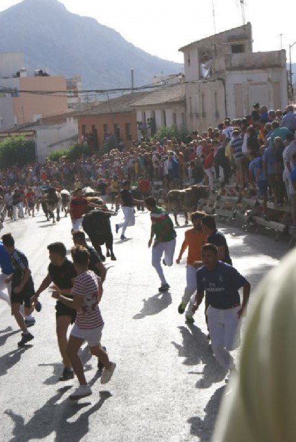 Un herido por asta en el tercer encierro de Calasparra - 2, Foto 2