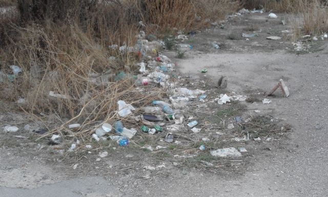 IU-Verdes exige que se atiendan las demandas de los vecinos del Camino Marín - 4, Foto 4