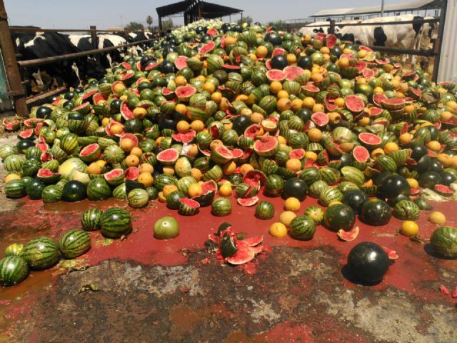Ciudadanos  Lorca solicita al Ayuntamiento y a la Comandancia del Seprona la inspección de una granja de vacuno en La Hoya - 3, Foto 3