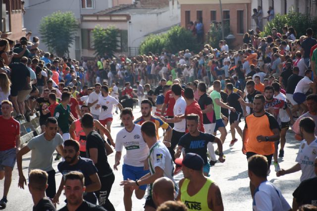 El tercer encierro taurino de Calasparra celebrado hoy ha sido rápido y no ha dejado ningún herido - 1, Foto 1