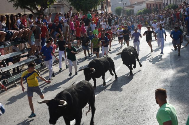 El tercer encierro taurino de Calasparra celebrado hoy ha sido rápido y no ha dejado ningún herido - 3, Foto 3