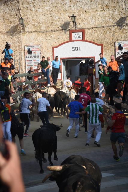 El tercer encierro taurino de Calasparra celebrado hoy ha sido rápido y no ha dejado ningún herido - 4, Foto 4