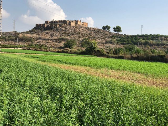 Un centenar de murcianos visitarán los trabajos arqueológicos de Monteagudo en la Feria de Murcia - 1, Foto 1