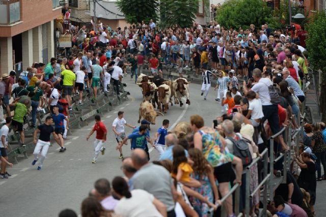 Dos heridos hoy en el tercer encierro taurino de Calasparra - 3, Foto 3