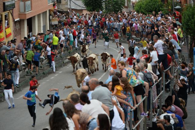 Dos heridos hoy en el tercer encierro taurino de Calasparra - 4, Foto 4