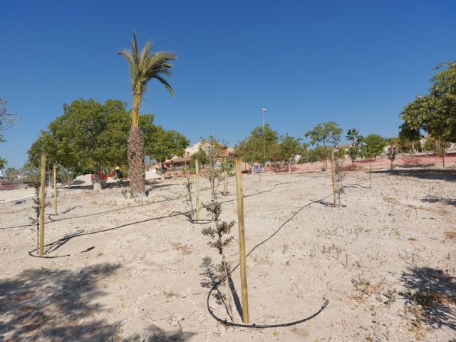 Finalizados los trabajos de plantación en el Parque Nelson Mandela de Molina de Segura, en el marco del Proyecto europeo LIFE CITYAdaP3, con la incorporación de 507 nuevas plantas de especies autóctonas - 1, Foto 1