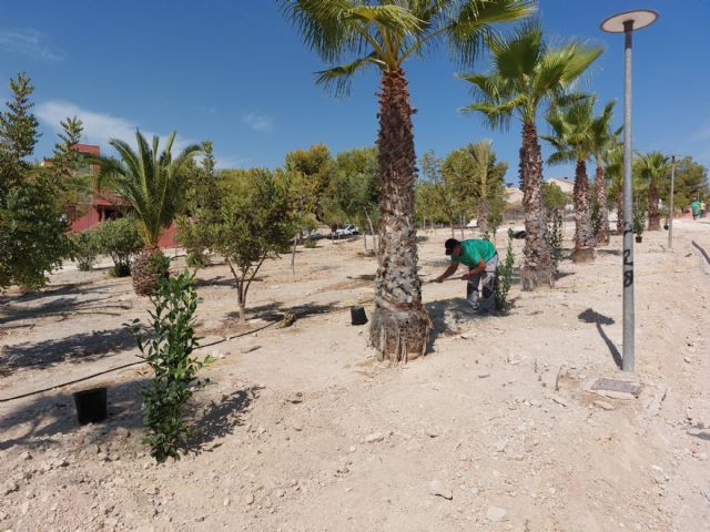 Finalizados los trabajos de plantación en el Parque Nelson Mandela de Molina de Segura, en el marco del Proyecto europeo LIFE CITYAdaP3, con la incorporación de 507 nuevas plantas de especies autóctonas - 2, Foto 2