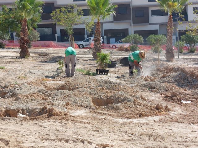 Finalizados los trabajos de plantación en el Parque Nelson Mandela de Molina de Segura, en el marco del Proyecto europeo LIFE CITYAdaP3, con la incorporación de 507 nuevas plantas de especies autóctonas - 3, Foto 3