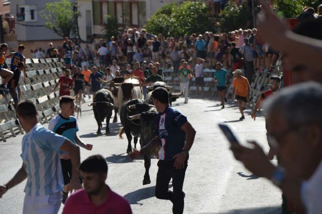 3º Encierro de la Feria y Fiestas de Calasparra - 3, Foto 3