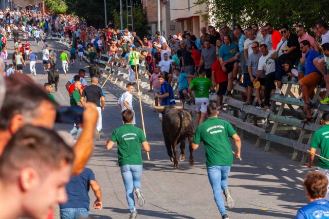 Encierro limpio y vistoso con la histórica ganadería de Raso de Portillo - 4, Foto 4