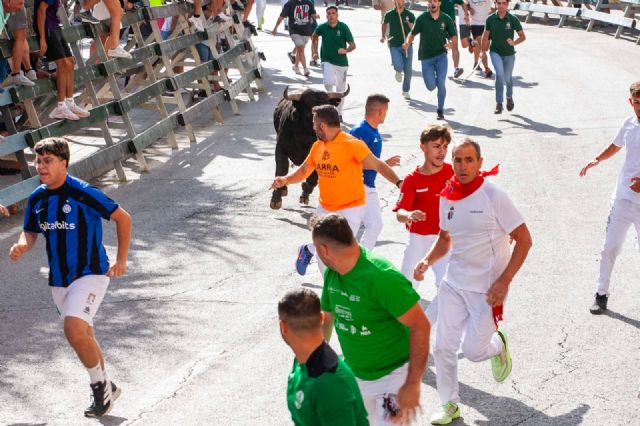 Encierro limpio y vistoso con la histórica ganadería de Raso de Portillo - 5, Foto 5