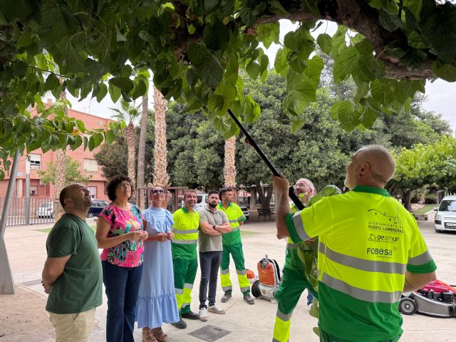 El Ayuntamiento de Puerto Lumbreras pone en marcha el nuevo servicio de jardinería municipal - 2, Foto 2