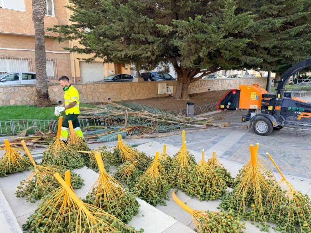 El Ayuntamiento de Lorca concluye los últimos detalles logísticos para la celebración de la Feria Chica - 5, Foto 5