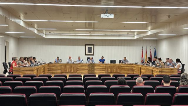 Toma posesión nuevo concejal PITP - 2, Foto 2