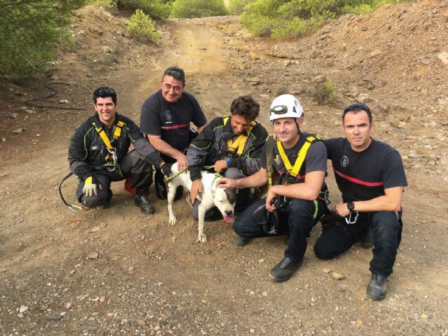 Los Bomberos rescatan a un perro en una mina de Portmán - 1, Foto 1