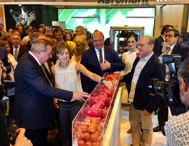 Presencia destacada de las empresas hortofrutcolas de Mazarrn en el stand regional de 