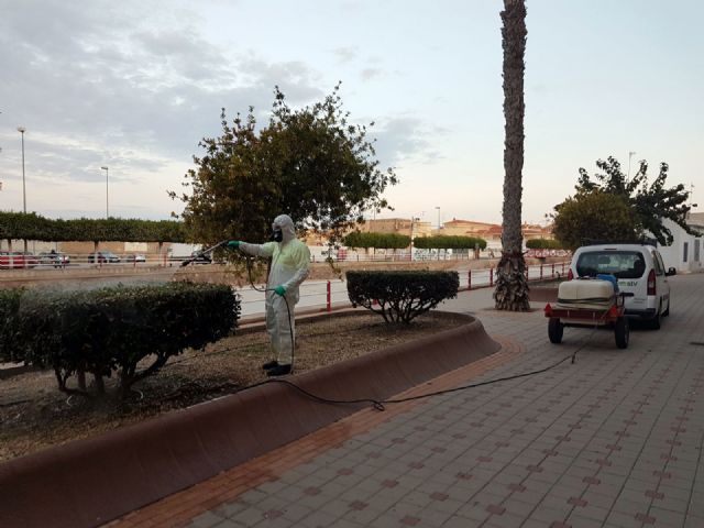El Ayuntamiento aplica tratamientos fitosanitarios a más de 35.000 unidades arbustivas del municipio - 1, Foto 1