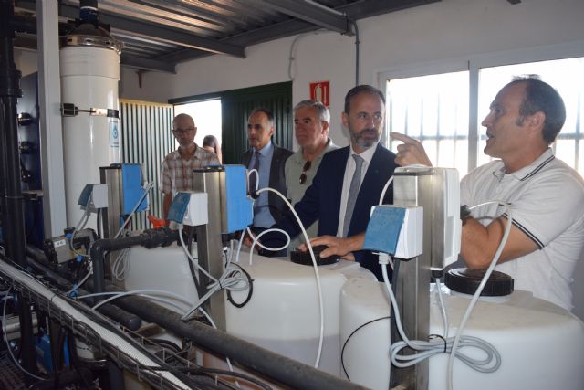 Medio Ambiente valida el modelo de desnitrificación desarrollado en un proyecto experimental de la UPCT - 2, Foto 2