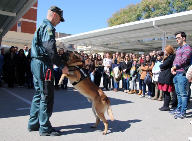 La Guardia Civil realiza una exhibición de recursos técnicos y humanos con motivo de la celebración de su Patrona - 2, Foto 2